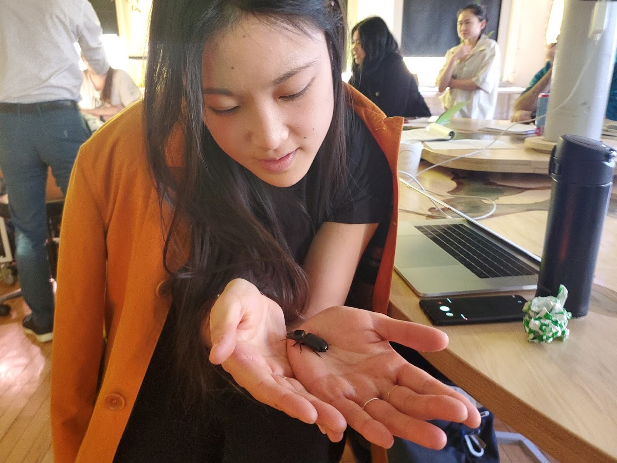 Student during intensive early stage research at the Nature Lab