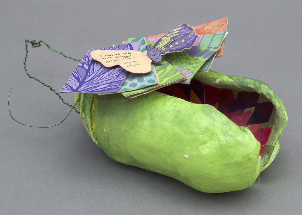 Book project by Denise Evans 23 EFS