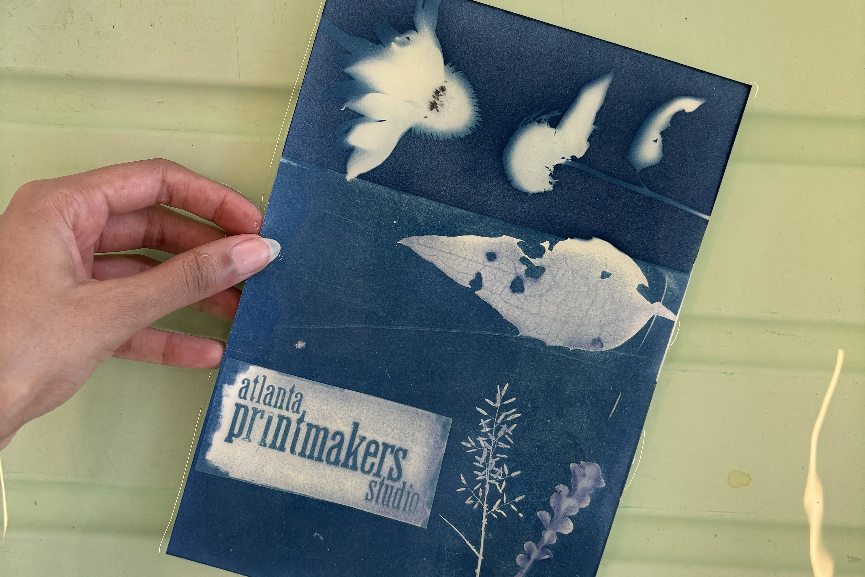 cyanotype made at the Atlanta Printmakers Studio with leaves