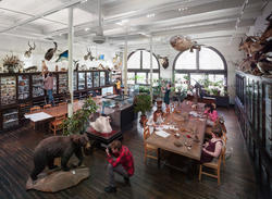 RISD students study specimens in the Nature Lab.