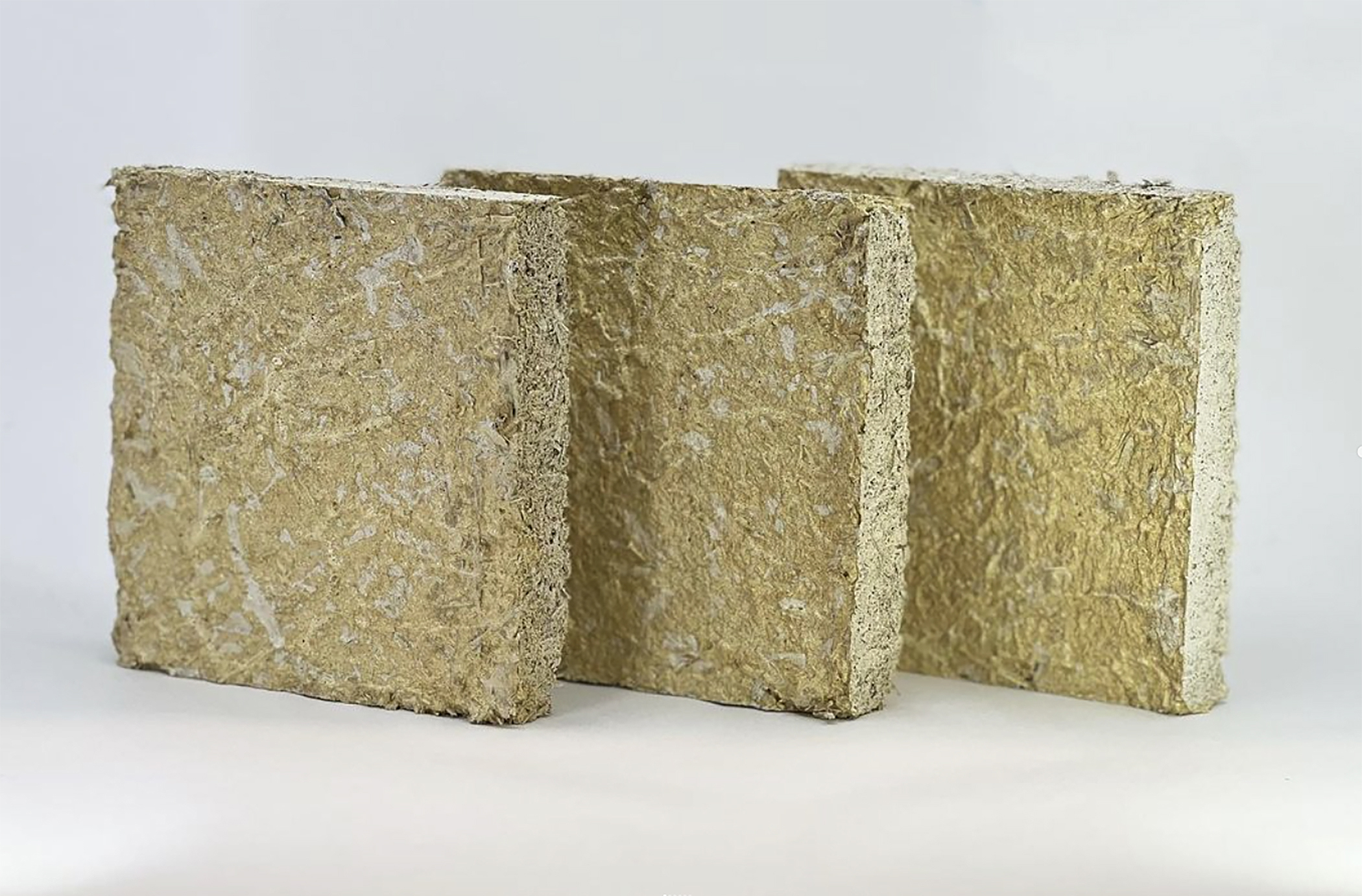 three slabs of bioconcrete made with phragmites